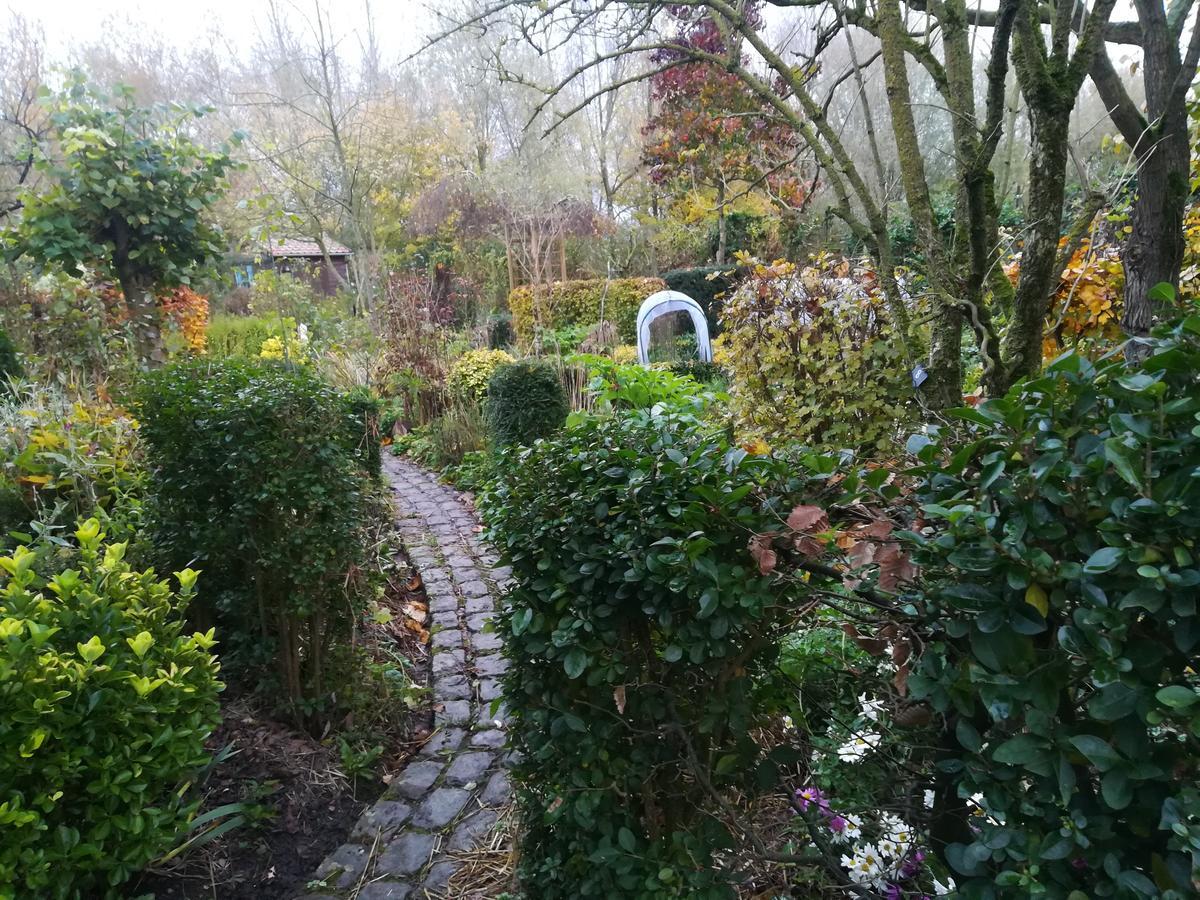 Pantgat Hof Bed & Breakfast Bollezeele Luaran gambar