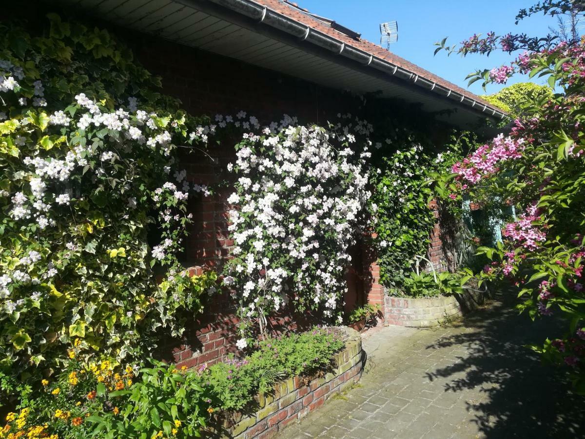 Pantgat Hof Bed & Breakfast Bollezeele Luaran gambar